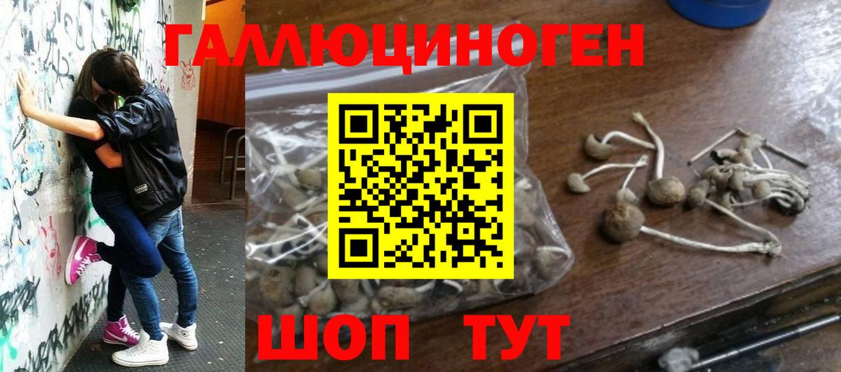 Переславль-Залесский  Галлюциногенные грибы прущие грибы  Вход с VPN  Псилоцибиновые грибы Cubensis 